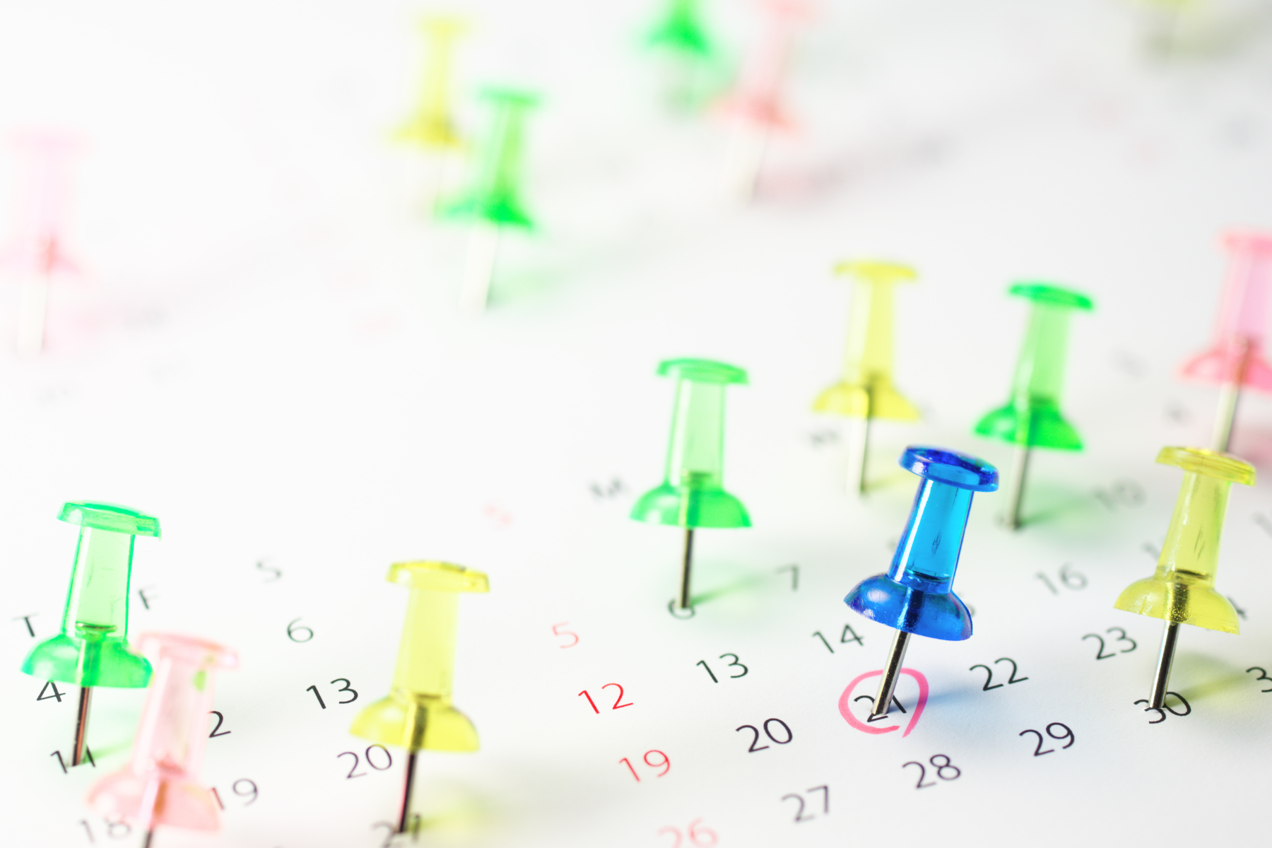 2023 Health Education Activity Schedule (2nd Quarter)