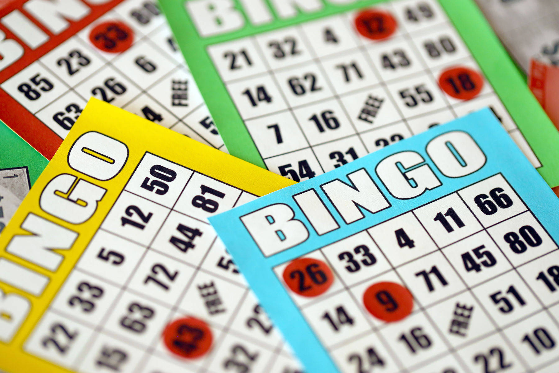 2024 Senior Bingo and Physical Activity Program (1st Quarter)