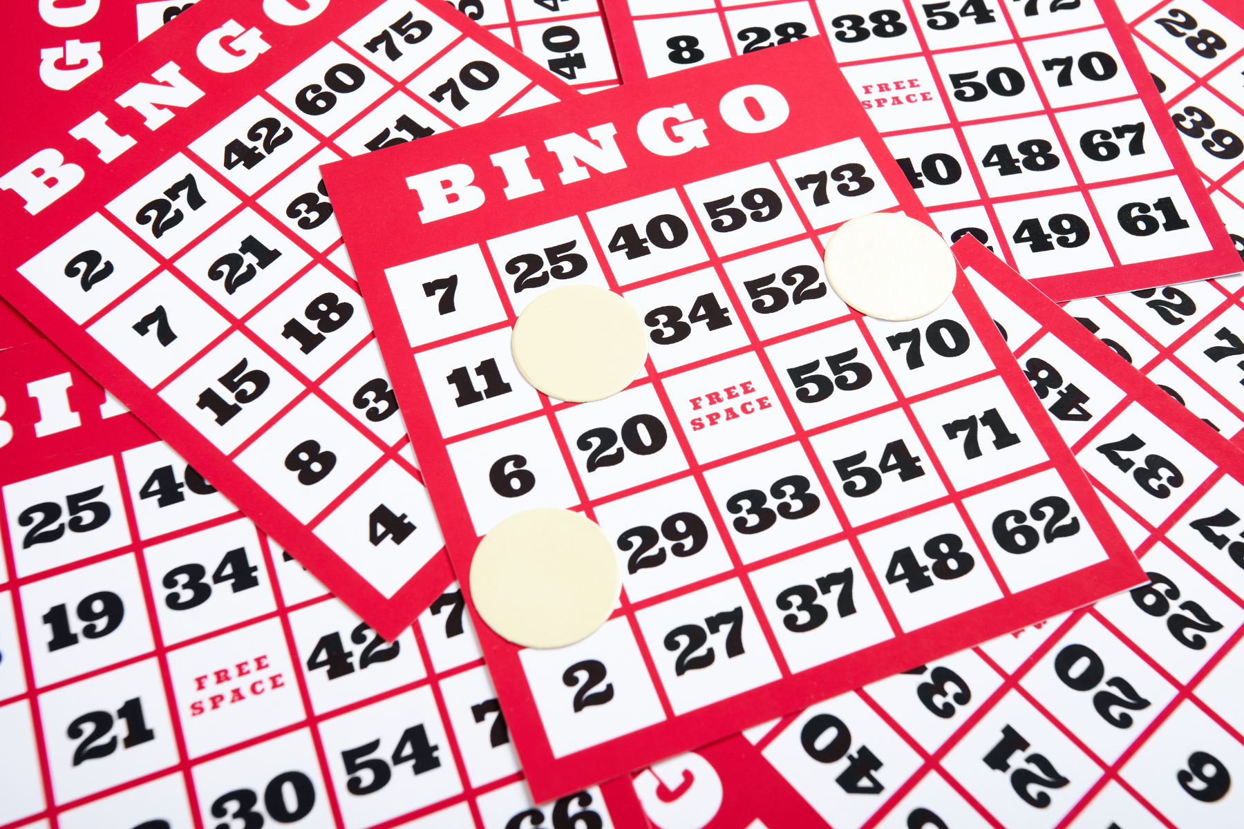 2024 Senior Bingo and Physical Activity Program (2nd Quarter)